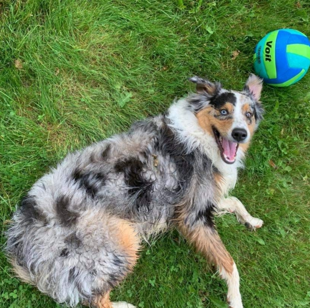 👽👽I 💜 Moe & offers!